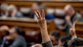 El Congreso celebra pleno extraordinario