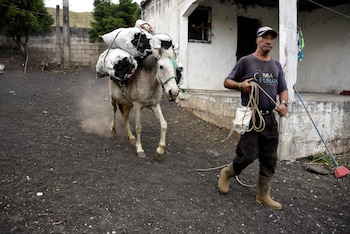 Un hombre y su caballo