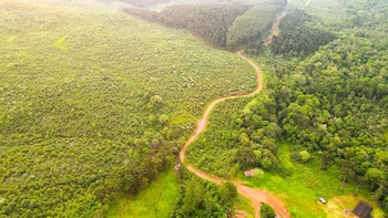 Clima de negocios: los secretos