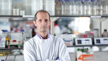 El Imperial College de Londres