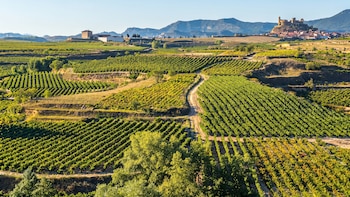 El pueblo de La Rioja con 30 kilómetros cuadrados de viñedos DOCa y desde el que se apreciará el eclipse del 12 de agosto