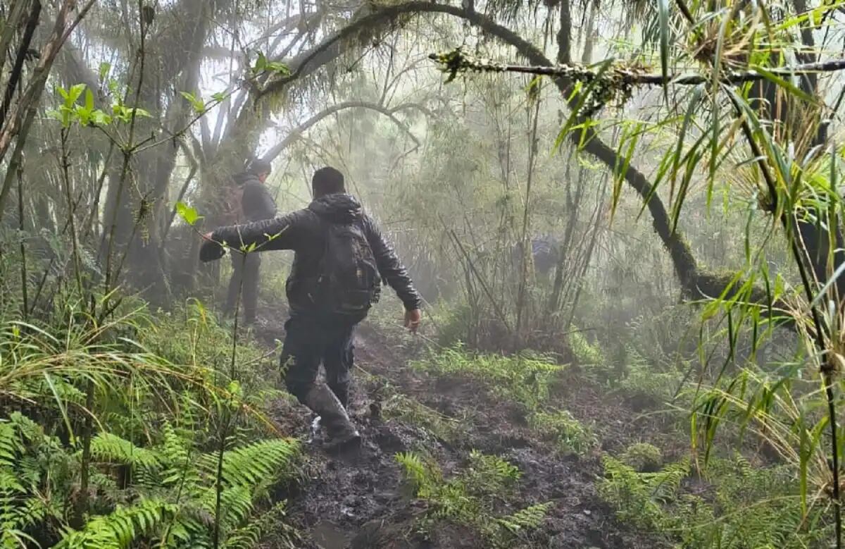 Efectivos policiales, gendarmes y baqueanos voluntarios recorren senderos de montaña y quebradas del cerro Ñuñorco Grande en Tafí del Valle