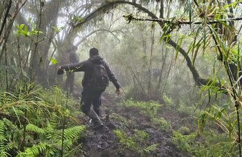Efectivos policiales, gendarmes y baqueanos voluntarios recorren senderos de montaña y quebradas del cerro Ñuñorco Grande en Tafí del Valle