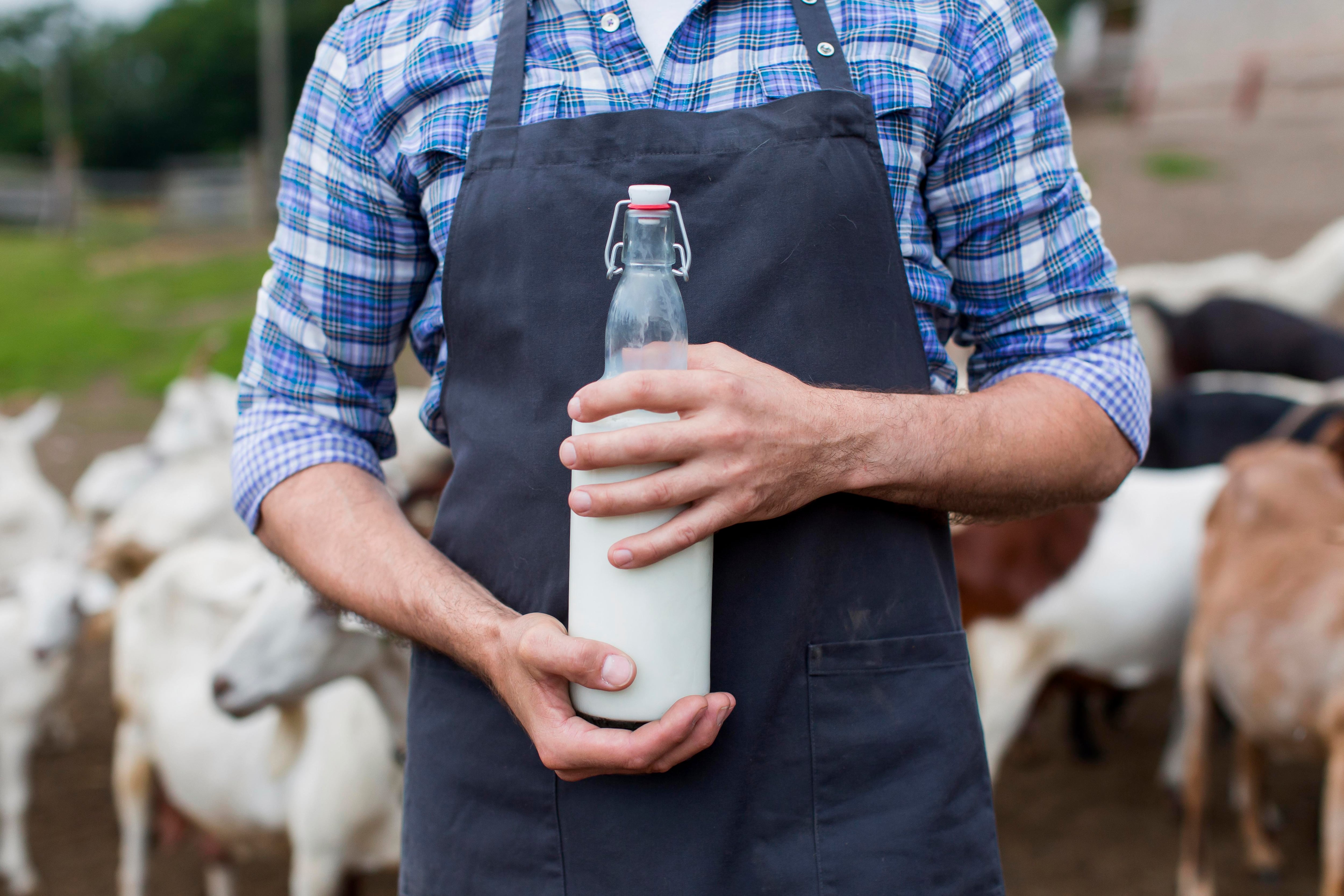 La pasteurización destruye patógenos, pero también elimina enzimas digestivas, lactobacilos vivos y proteínas de suero sensibles al calor (Freepik)