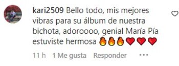 Usuarios comentaron el video de