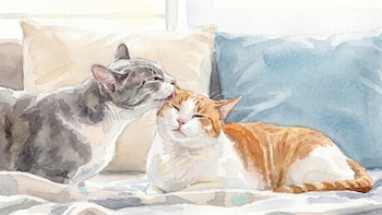 Por qué los gatos se lamen entre sí: lo que revela la ciencia sobre su convivencia