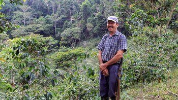 Mandatarios locales tienen hasta el