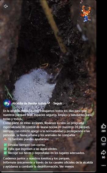 (Facebook: Alcaldía de Benito Juárez)
