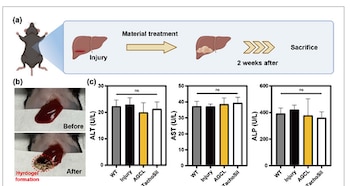 Los ensayos en animales demostraron