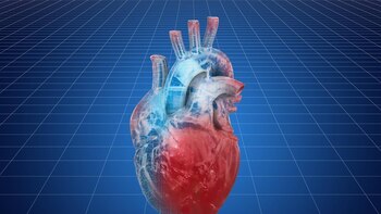 Descubren cómo la prediabetes puede