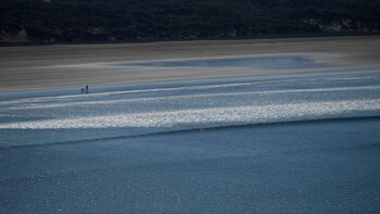 La sabiduría del agua: 8