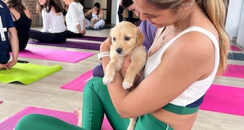 Terapias con animales sorprenden en