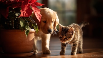 En Navidad aumenta el riesgo