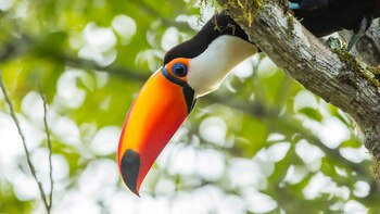 Junio es un buen mes