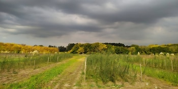La aplicación de biosólidos al