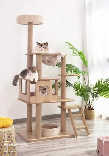 Artículos para gato en Amazon
