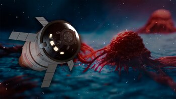 Cáncer: por qué el viaje