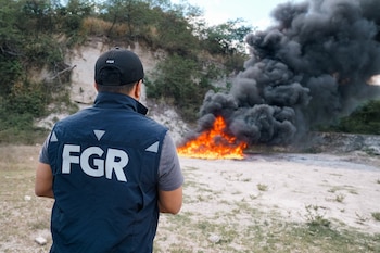 Golpe al narcotráfico: Autoridades de El Salvador destruyen droga valorada en un tercio de millón de dólares.