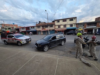 Las abejas fueron retiradas en