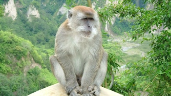 Los resultados aportan evidencia experimental