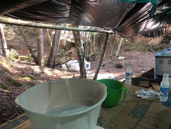 En los laboratorios se encontraron