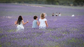 La mitad de los padres españoles publica fotos de sus hijos en internet, una práctica que se intensifica en verano