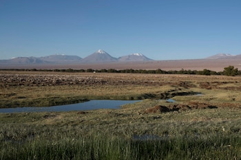 Los humedales proveen agua dulce, filtran contaminantes, regulan el clima y actúan como barrera frente a eventos climáticos extremos (REUTERS/Cristian Rudolffi)