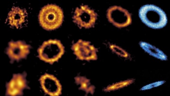 Un estudio internacional desvela detalles