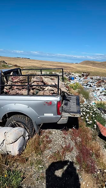 Además de las muertes, hay