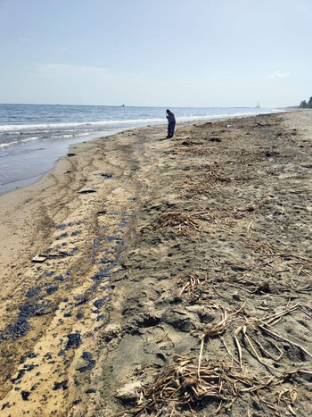 Así amaneció la Playa del