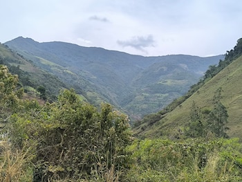 Argelia, donde se ubica el