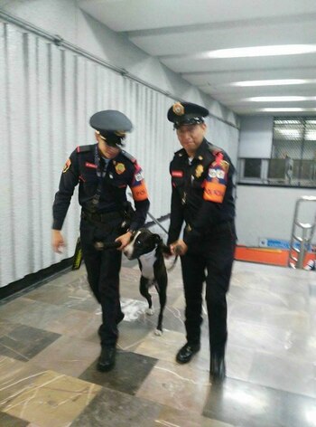 En 2017 circuló la imagen