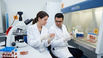 Científicos encuentran en el fluido menstrual la clave para que las heridas no dejen marca