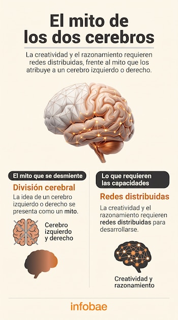 Infografía con un dibujo de un cerebro iluminado, un gráfico tachado del cerebro dividido y textos explicativos con el logo de Infobae.