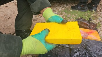 Uno de los ladrillos de