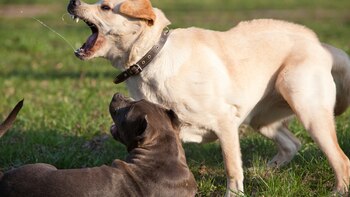 As 12 maneiras pelas quais