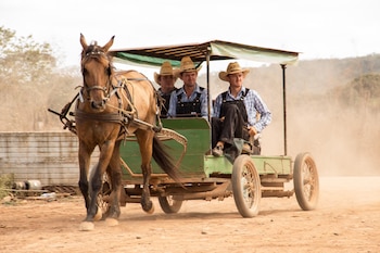 Foto: Martin Zetina/Cuartoscuro