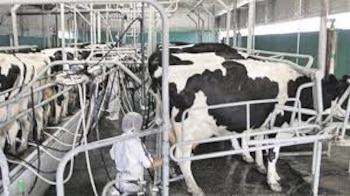 El INTA Rafaela realizó una