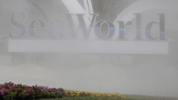 El SeaWorld de Orlando abre