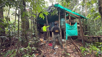 Golpe a las finanzas del Clan del Golfo en Santander: fuerza pública desmanteló laboratorio que producía 200 kilos de coca al mes
