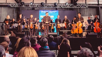 Vivero Musical nació en el