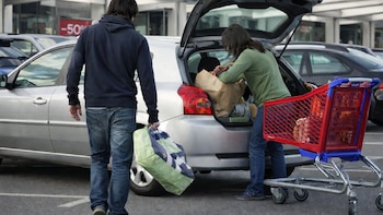 El “método de la siembra”,