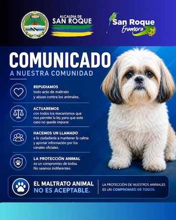 El caso de Luna ocurrió después de la sanción de la ley que tipifica la zoofilia como delito en Colombia, con penas de prisión, multas e inhabilidades, y motivó una velatón para exigir justicia - crédito Alcaldía de San Roque Antioquia / Facebook