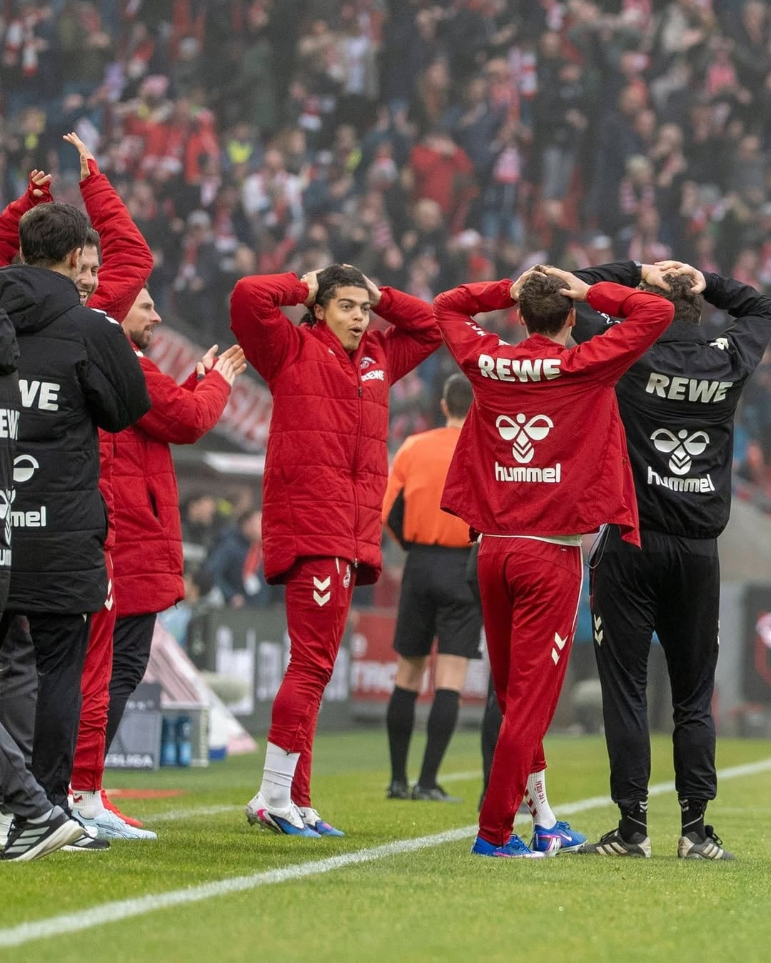 Los jugadores del Colonia no podían creer el golazo de Ragnar Ache (Crédito: @fckoeln/Instagram)