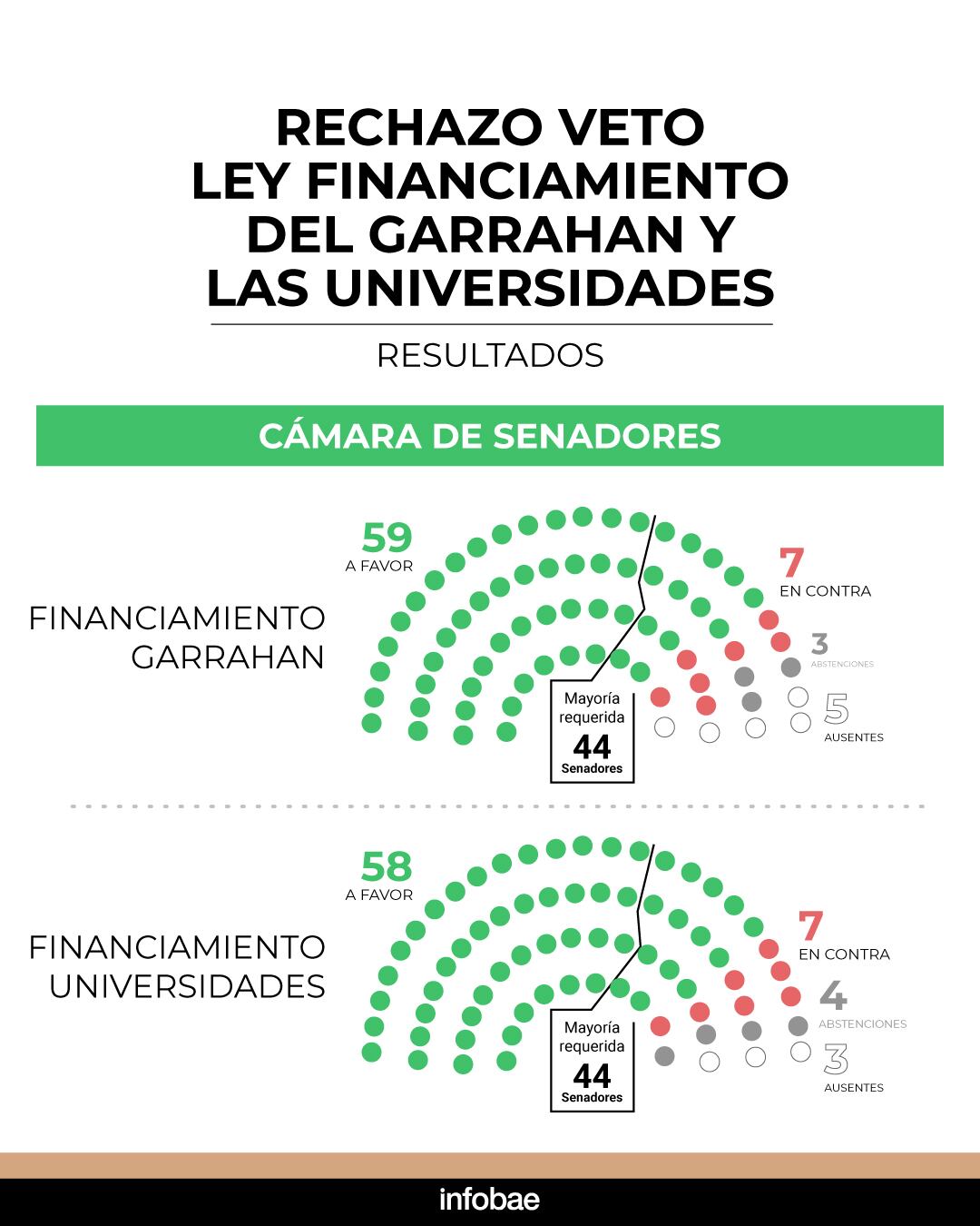 La cámara alta alcanzó los dos tercios necesarios para insistir con la sanción de la ley de universidades nacionales y de emergencia pediátrica