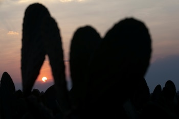 Explica que como profesora de