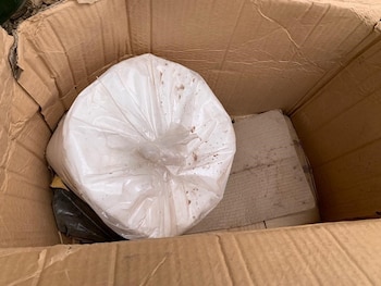 El Ejército estableció perímetros de