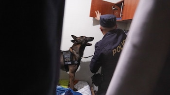 Un agente de la Policía