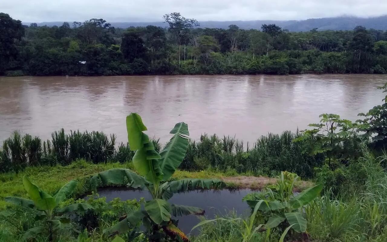 Shunté conforman parte de la provincia de Tocache, zona con presencia de actividad minera ilícita. (Foto: Seturimo)