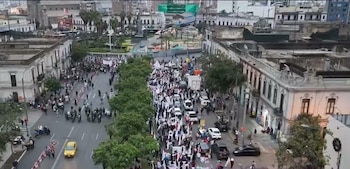 Vista aérea de una marcha de personas en una avenida arbolada flanqueada por edificios, con automóviles estacionados y en circulación